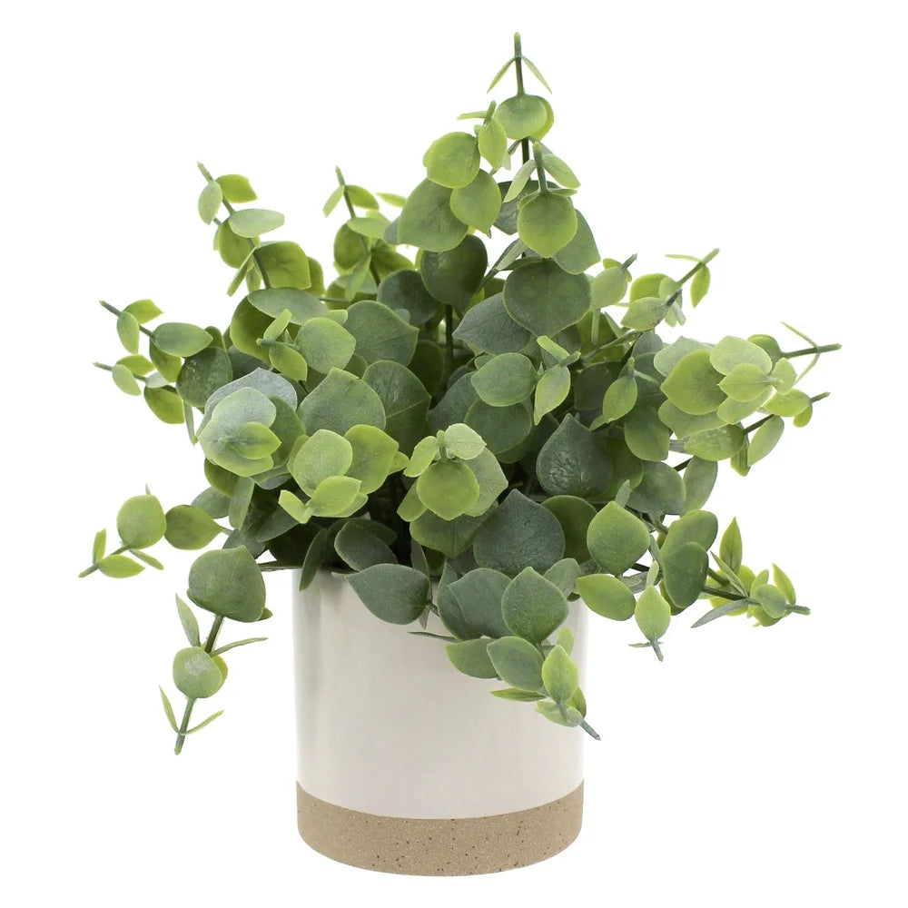 Artificial Eucalyptus Plant in Two-Tone Ceramic Planter 8 Inch Indoor Decorative Houseplant Lush Green Leaves Gift Idea Home
