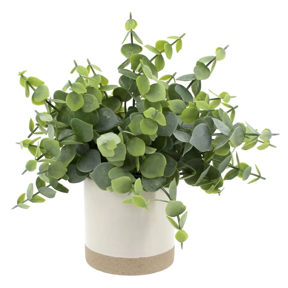 Artificial Eucalyptus Plant in Two-Tone Ceramic Planter 8 Inch Indoor Decorative Houseplant Lush Green Leaves Gift Idea Home