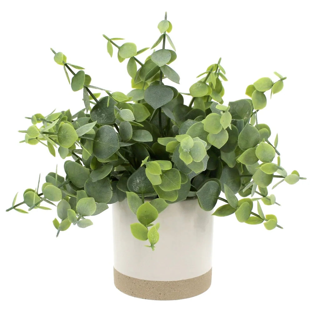Artificial Eucalyptus Plant in Two-Tone Ceramic Planter 8 Inch Indoor Decorative Houseplant Lush Green Leaves Gift Idea Home