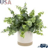 Artificial Eucalyptus Plant in Two-Tone Ceramic Planter 8 Inch Indoor Decorative Houseplant Lush Green Leaves Gift Idea Home