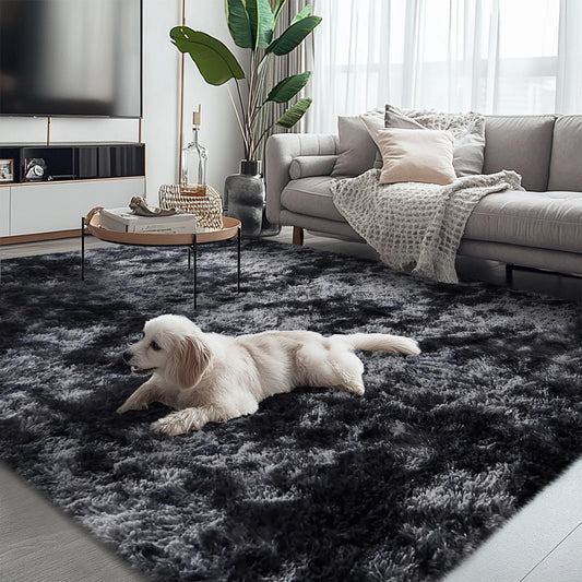 Shag Area Rugs For Living Room