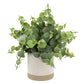 Artificial Eucalyptus Plant in Two-Tone Ceramic Planter 8 Inch Indoor Decorative Houseplant Lush Green Leaves Gift Idea Home