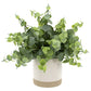 Artificial Eucalyptus Plant in Two-Tone Ceramic Planter 8 Inch Indoor Decorative Houseplant Lush Green Leaves Gift Idea Home