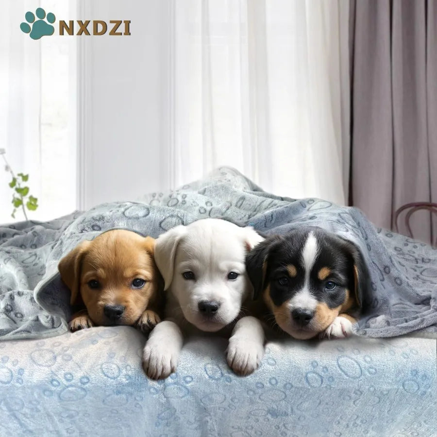 3 Pack Washable Fleece Blankets for Small Dogs Cats Rabbits and Guinea Pigs 23''x16'' Soft Pet Bedding with Cute Claw Pattern I