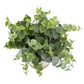 Artificial Eucalyptus Plant in Two-Tone Ceramic Planter 8 Inch Indoor Decorative Houseplant Lush Green Leaves Gift Idea Home